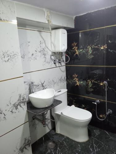 a bathroom with a toilet and a sink at A V Palace Guest House Raika bagh Jodhpur in Jodhpur
