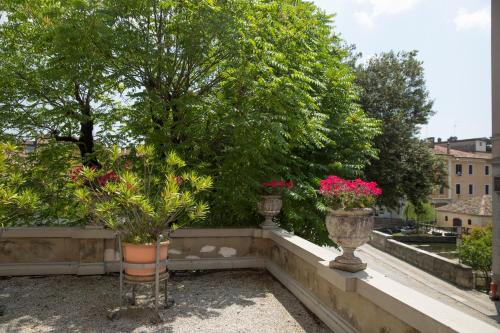 Un jardín fuera de Hotel Spessotto