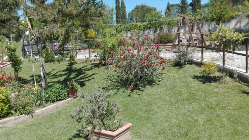 a garden with flowers and plants in the grass at Agriturismo Collelungo di Maremma in Diaccialone
