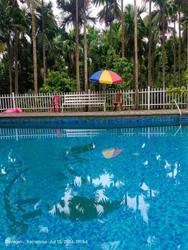a swimming pool with a colorful umbrella in the water at Dandeli redstone cottages in Dandeli