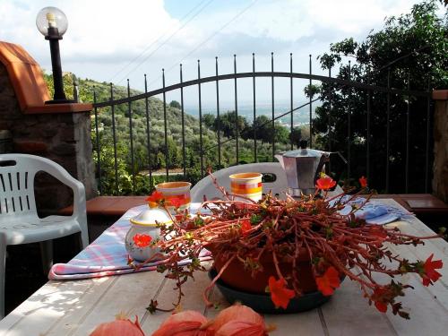 uma mesa com um vaso de plantas em cima de uma varanda em Casa Velia em Uzzano