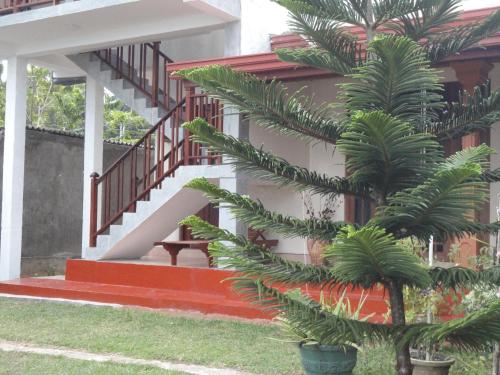 a palm tree in front of a house with stairs at Sapara River Guest in Bentota