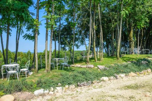 a row of tables and chairs in a park with trees at Agriturismo B&B Corte Tonolli in Valeggio sul Mincio