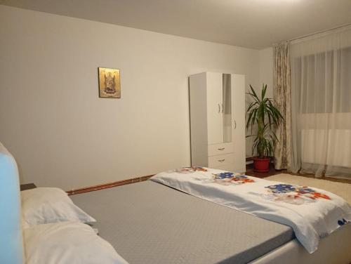 a bedroom with a bed and a cabinet in it at Casa RiAn in Drăgăneasa