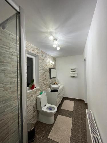 a bathroom with a toilet and a sink at Casa RiAn in Drăgăneasa