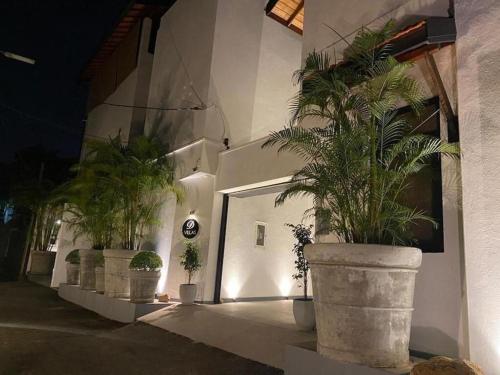 três grandes vasos de plantas na lateral de um prédio em D Villas em Kirillapone