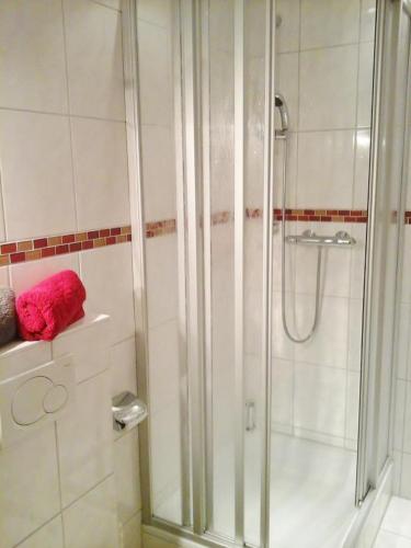 a shower with a glass door in a bathroom at Pension Waldblick in Bayerisch Eisenstein