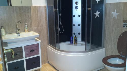 a bathroom with a shower and a toilet and a sink at Luxury Central apartment in Sibiu in Sibiu