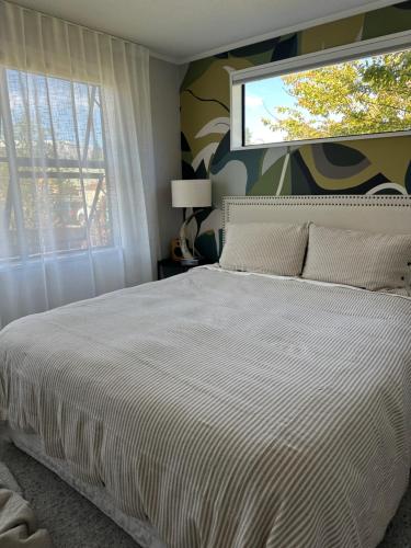 Imagine din galeria proprietății Omara-more în Omarama