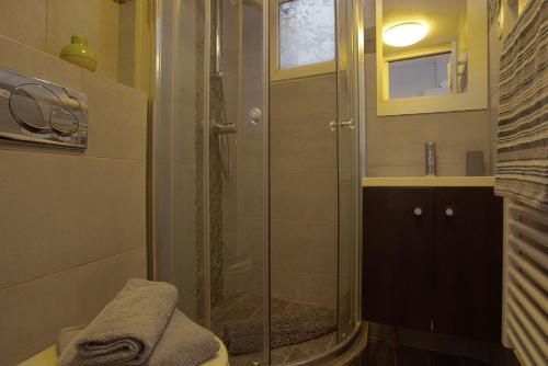 La salle de bains est pourvue d'une cabine de douche en verre. dans l'établissement thesuites Paris Studios, à Paris