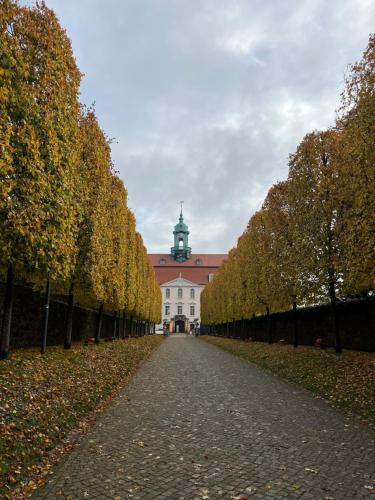 a road leading to a white building with a clock tower at Gewölbekammer Lichtenwalde in Niederwiesa