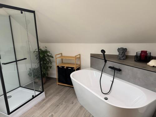 a bathroom with a tub and a glass shower at Casa Festini in Thomatal