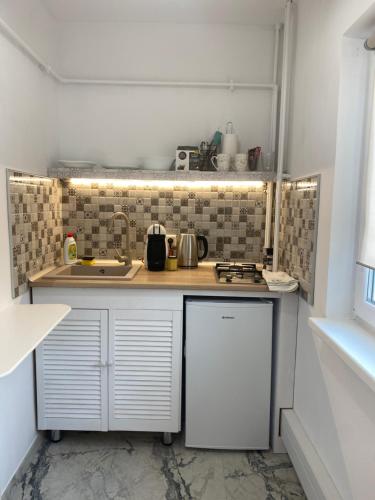 Kuchyň nebo kuchyňský kout v ubytování Green Studio Nord