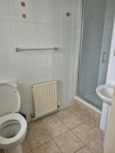 a bathroom with a shower and a toilet and a sink at Byards Leap Lodges in Welbourn