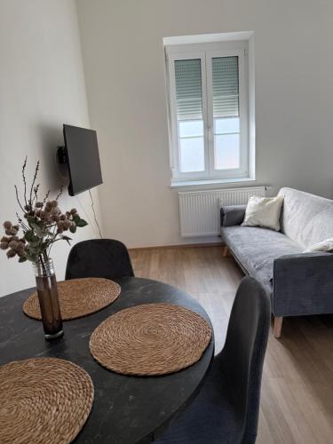 schönes Apartment in Zentrumsnähe