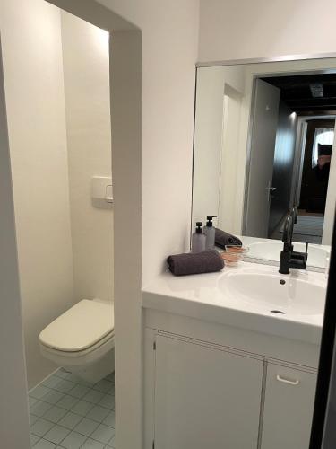 a bathroom with a toilet and a sink and a mirror at Il Nido by Fewotessin in Ronco sopra Ascona