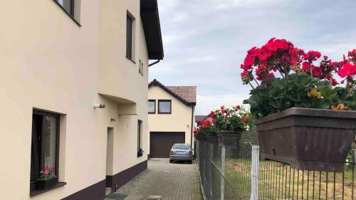 弗格拉什Transylvania Guest House的一辆汽车行驶在街道上，车旁放着一盆鲜花。