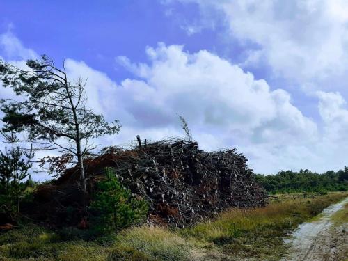 un tas de bois au bord d'un chemin de terre dans l'établissement 4 person holiday home in Oksbøl-By Traum, à Oksbøl