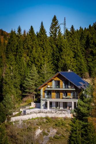 a house in the middle of a forest at Villa Stella Verde - Wellness Villa with a swimming pool, hot tub and sauna in Ravna Gora