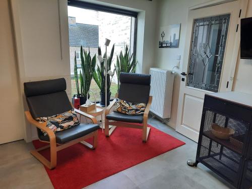 兰登Met een knipoog naar de fruitstreek!的客厅配有两把椅子和红色地毯