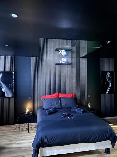 a bedroom with a blue bed with red pillows at Cinquante Nuances Ponotes in Le Puy en Velay
