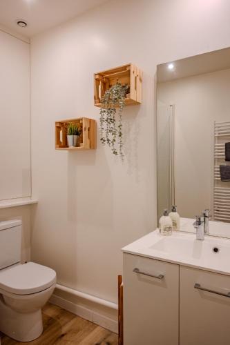 a bathroom with a toilet and a sink at Le Ptit Chauffour - Hyper Centre Ville - Transports en Commun - Commerces à Proximité in Colmar