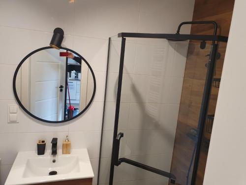 レシュノにあるApartament Number One NOVA WOZOWNIAの洗面台と鏡のあるバスルーム