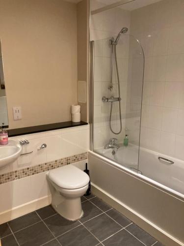 a bathroom with a toilet and a sink and a shower at Raven Wing 17 - Aonach Mor in Fort Augustus