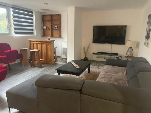 a living room with a couch and a flat screen tv at Appartement dans un cadre bucolique in Charly-sur-Marne