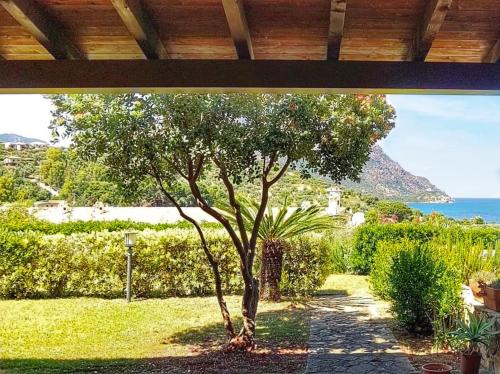 a tree in a garden with a view of the ocean at Villa Sa Perla - Pool, Panoramic View, 250m to Seafront, 650m to Beach in Marina di Gairo