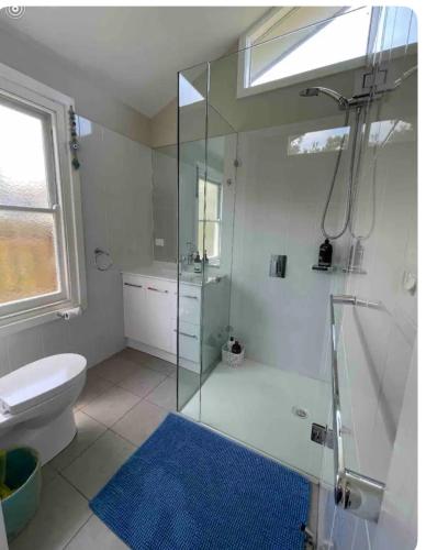 a bathroom with a glass shower and a toilet at Beach House Getaway 1 in Smiths Beach