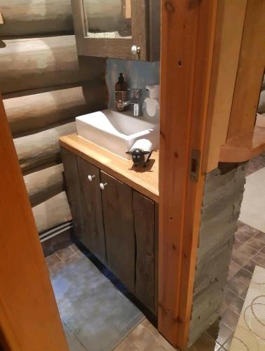 a bathroom with a sink and a mirror at Saunamaja, Taalbergi Kodumajutus OÜ in Nogo