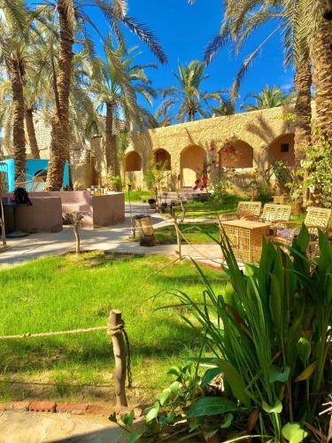 Zahrada ubytování Arkan siwa أركان سيوة