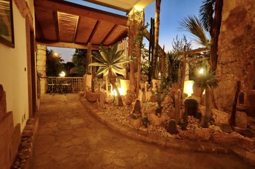 a courtyard with cacti and plants in a house at Felline In Bed&Breakfast Dimora di Charme el Salento in Felline