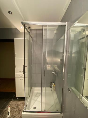 Koupelna v ubytování apartman the one - free parking