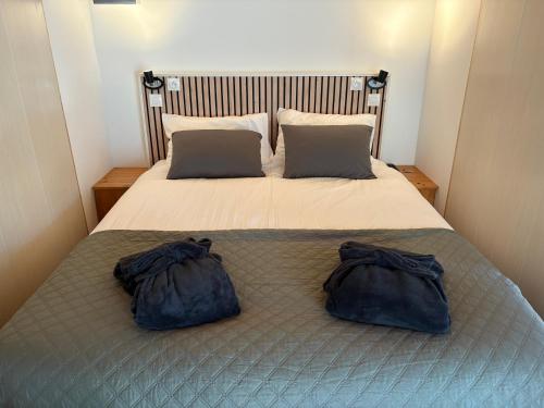 una cama con dos almohadas encima en Maison avec jacuzzi, proche de la plage, en Lévignacq