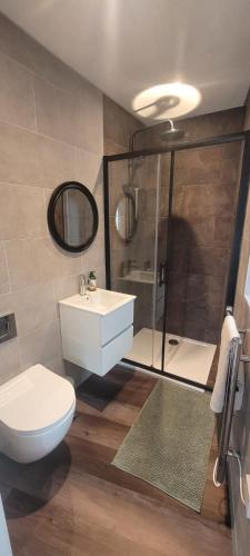 a bathroom with a toilet and a sink and a shower at Cozy Studio Newly Furnished in Colchester