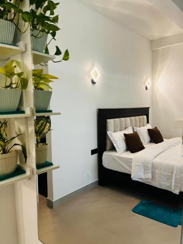 a bedroom with a bed with plants on shelves at The Aurelian in Ella