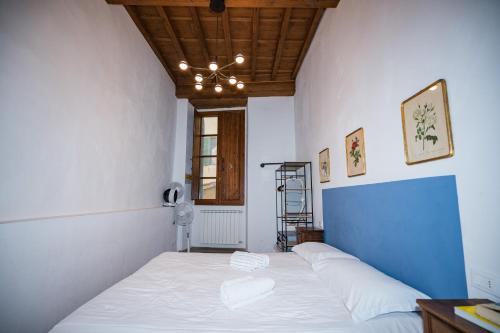 Roomy and elegant apartment by Piazza Pitti