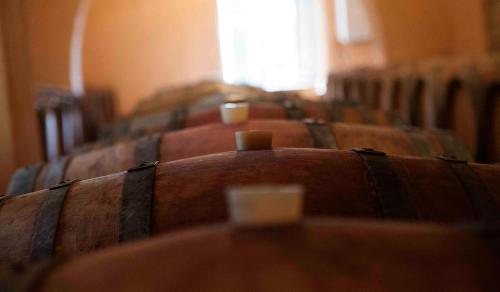a row of empty wine barrels in a room at Fattoria Poggio Capponi in Montespertoli