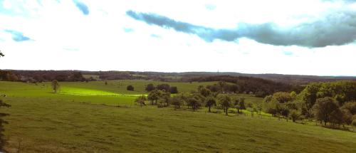 a green field with trees in the distance at Panorama trifft Gemütlichkeit in Nümbrecht