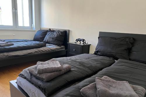 ein Schlafzimmer mit zwei Betten und einer Katze auf einem Nachttisch in der Unterkunft Cozy City Center Designer Apartment for 10 People in Wiener Neustadt