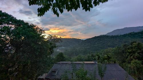 ホテルの近くで見られる自然の景観