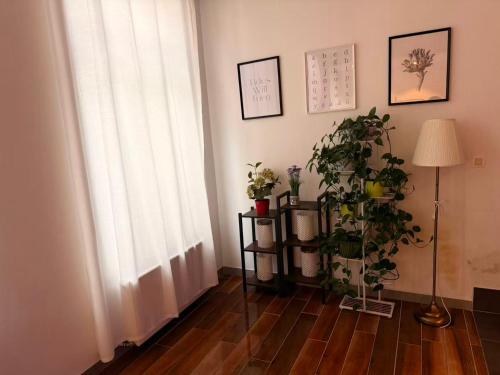 a room with a window and a floor with plants at Sweet Dream House in Brussels