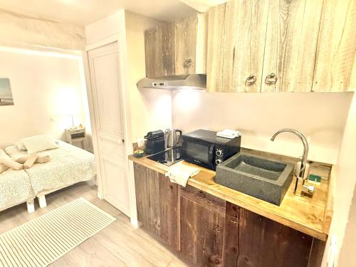 eine Küche mit einer Spüle und einer Mikrowelle auf der Theke in der Unterkunft Le charmant studio - Suquet - Cannes in La Celle-sous-Gouzon