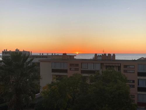 Les Palmiers Très beau T2 vue mer 2mn de la plage150m