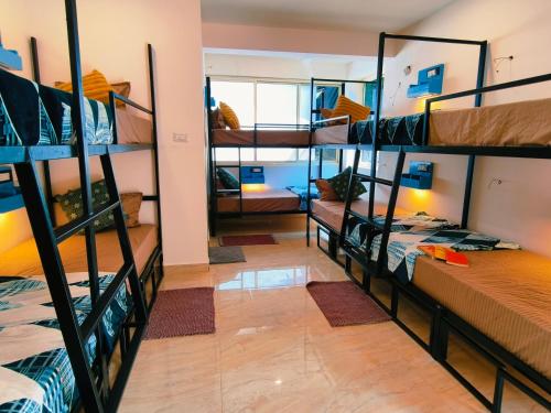 a room with four bunk beds in a hostel at Mitra Palolem in Canacona