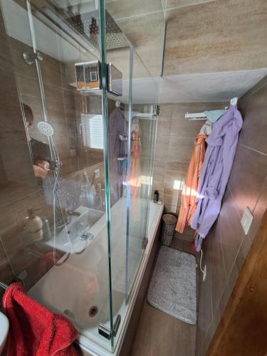 a bathroom with a glass shower and a sink at Appartement Valaisan typique in Guttet-Feschel