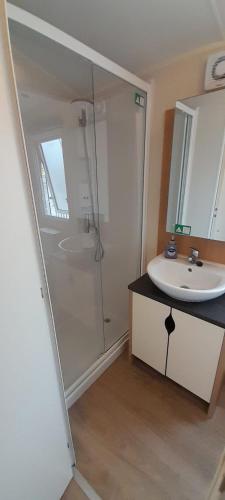 a bathroom with a shower and a sink at Willerby Escapes in Lytchett Minster