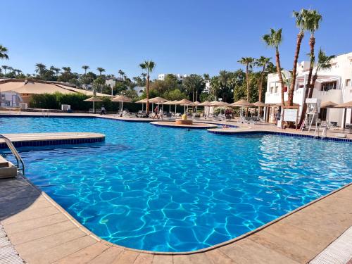 Πισίνα στο ή κοντά στο Domina Coral Bay Salt Lake